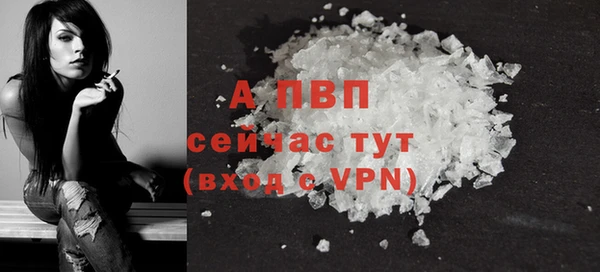 амф Новодвинск