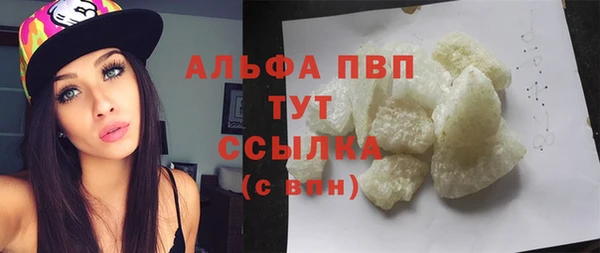 амф Новодвинск