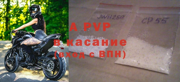 амф Новодвинск