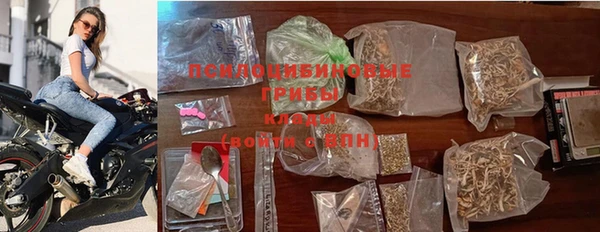 амф Новодвинск