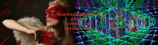 спайс Новозыбков